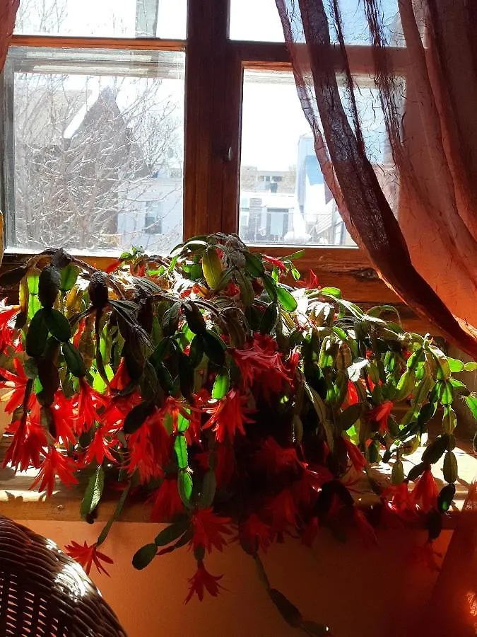 Gite A L'Augustine Quebec City Bed & Breakfast